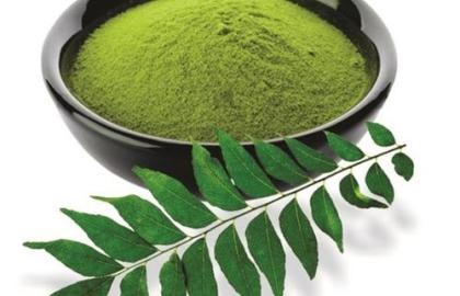 কারি পাতা গুঁড়া (Curry Leaves Powder): Natural Hair Growth, Digestion Boost ও Ayurvedic Wellness-এর গোপন উপাদান