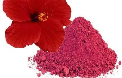 ড্রাইড হিবিসকাস ফ্লাওয়ার পাউডার (Dried Hibiscus Flower Powder): Natural Hair Mask, Herbal Tea ও Skin Glow-এর প্রাকৃতিক উপাদান