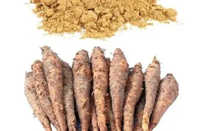 শিমুল পাউডার (Shimul Powder): Natural Fiber, Herbal Wellness ও Ayurvedic Skin Care-এর শক্তিশালী উপাদান