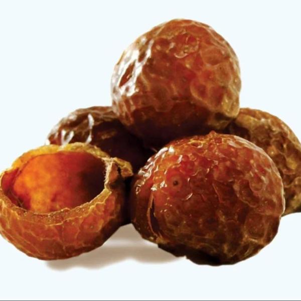 Reetha Soap Nut  Terminalia Chebula High Quality