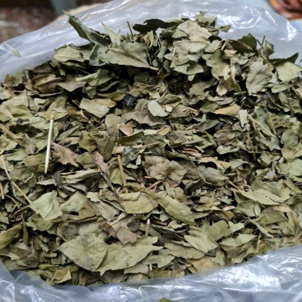 Dry Curry Leaves, Dried Kari Pata, Asto Curry Leaf