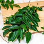 Dry Curry Leaves, Dried Kari Pata, Asto Curry Leaf