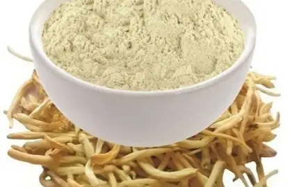 Safed Musli Powder - সফেদ মুসলি পাউডার: প্রাকৃতিক শক্তির উৎস ও স্বাস্থ্য উপকারিতা